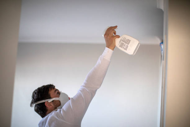 Best Industrial Mold Remediation in Chaska, MN