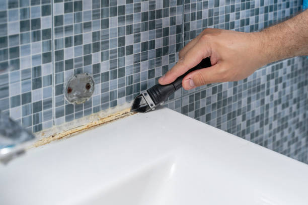 Best Localized Mold Remediation (e.g., coastal areas, humid climates) in Chaska, MN